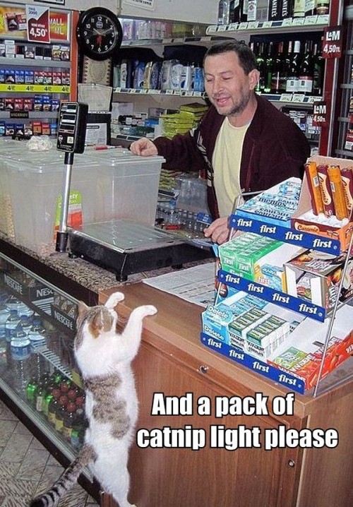 hornoxe.com_picdump294_193