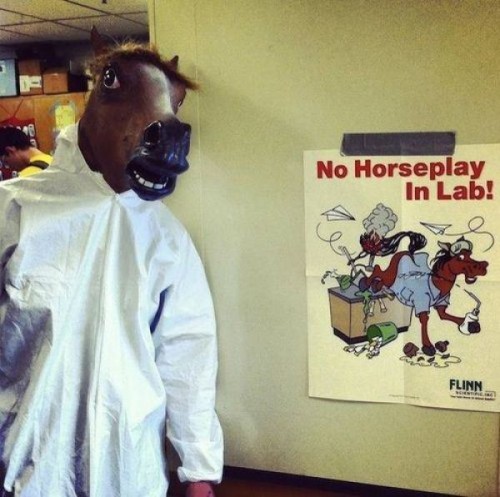 hornoxe.com_picdump295_023