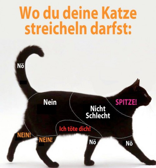 hornoxe.com_picdump295_024