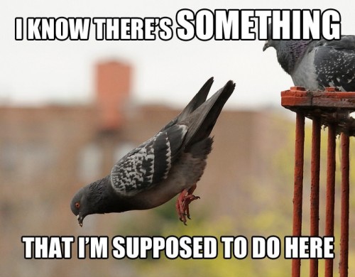 hornoxe.com_picdump295_045