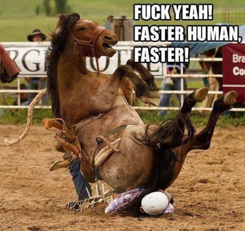 hornoxe.com_picdump295_047