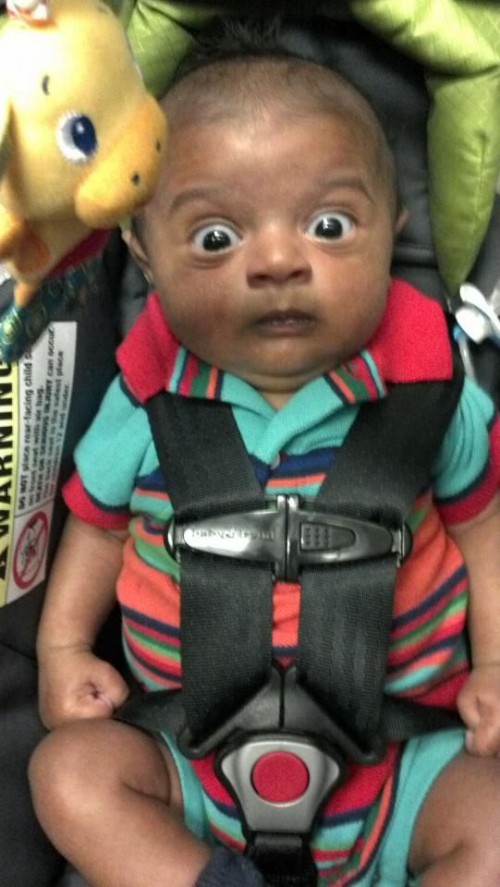 hornoxe.com_picdump295_082