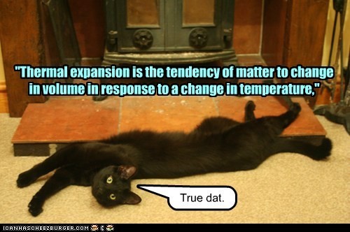 hornoxe.com_picdump295_089