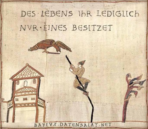 hornoxe.com_picdump295_099