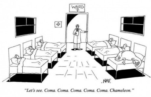 hornoxe.com_picdump295_164