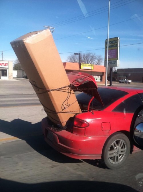 hornoxe.com_picdump295_201