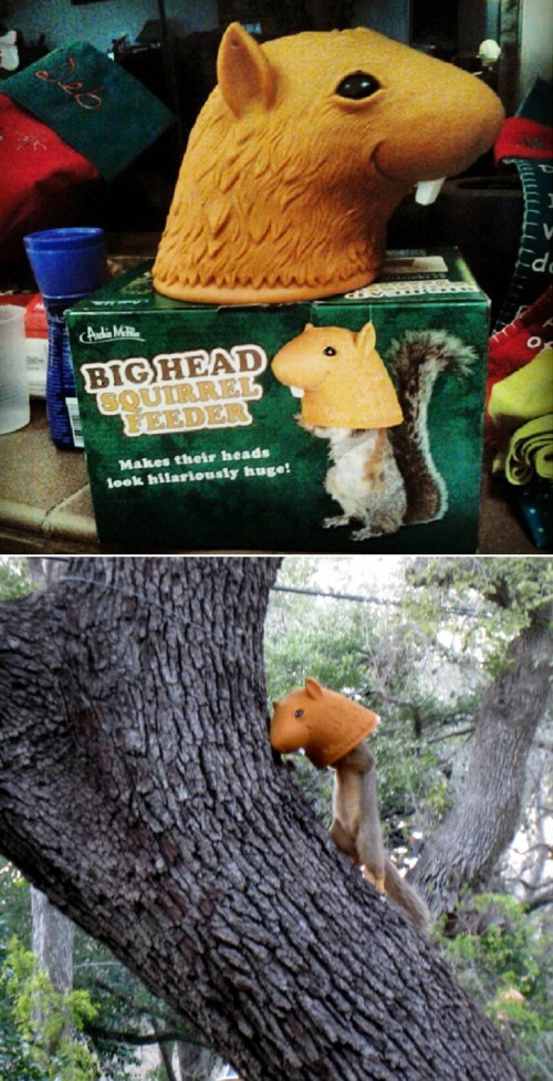 hornoxe.com_picdump296_003