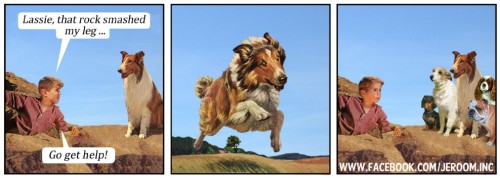 hornoxe.com_picdump296_010