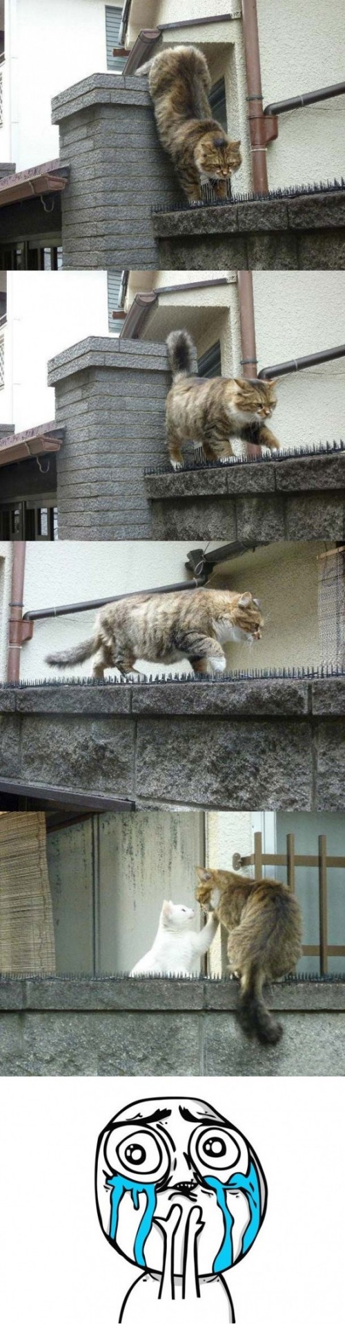 hornoxe.com_picdump296_028