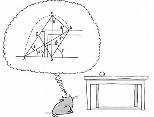 hornoxe.com_picdump296_052