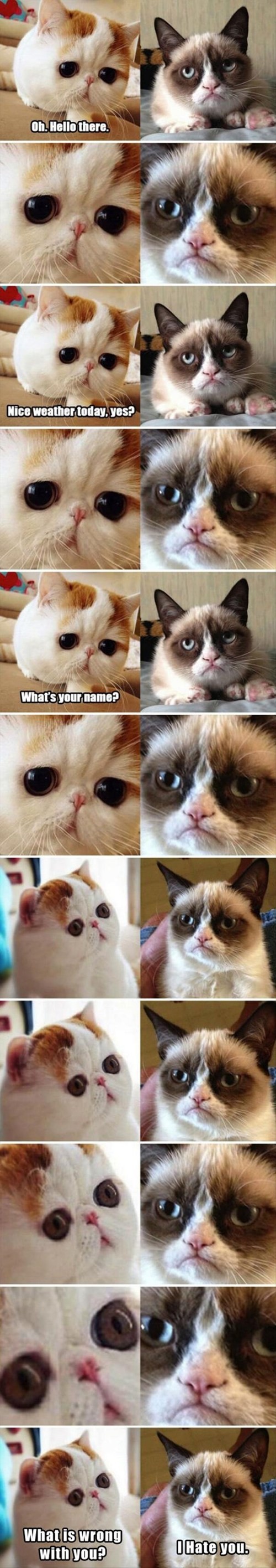 hornoxe.com_picdump296_053