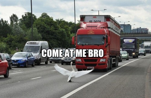 hornoxe.com_picdump296_054