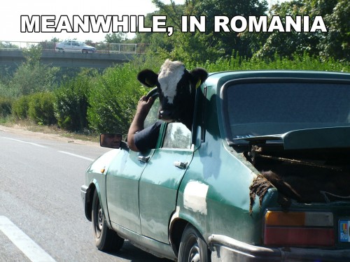 hornoxe.com_picdump296_134