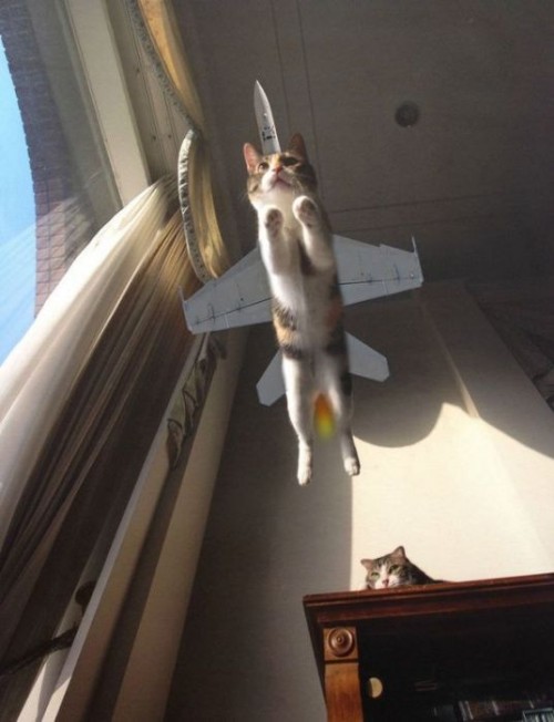 hornoxe.com_picdump296_147