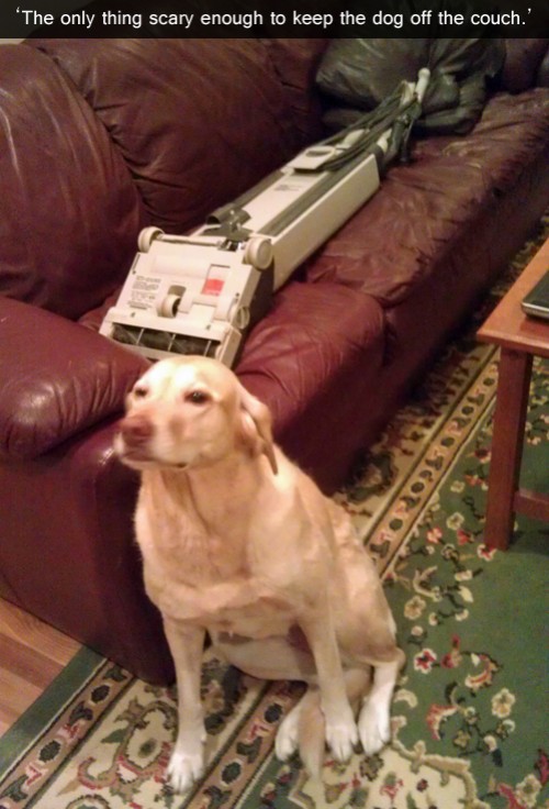 hornoxe.com_picdump296_170