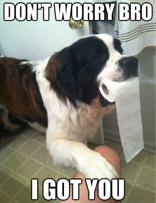 hornoxe.com_picdump296_181