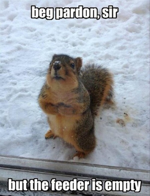 hornoxe.com_picdump296_182