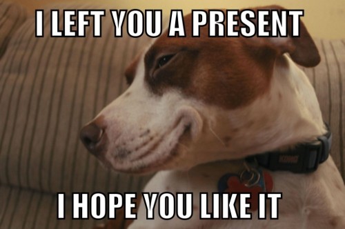 hornoxe.com_picdump297_005