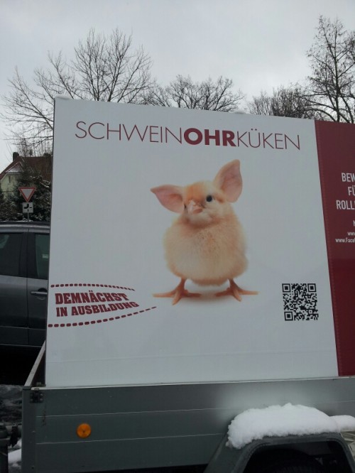 hornoxe.com_picdump297_012