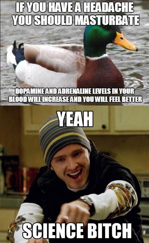 hornoxe.com_picdump297_030