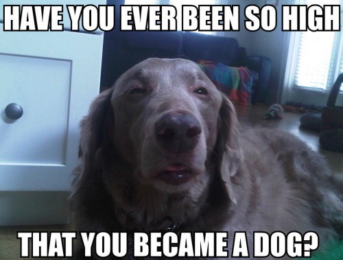 hornoxe.com_picdump297_044