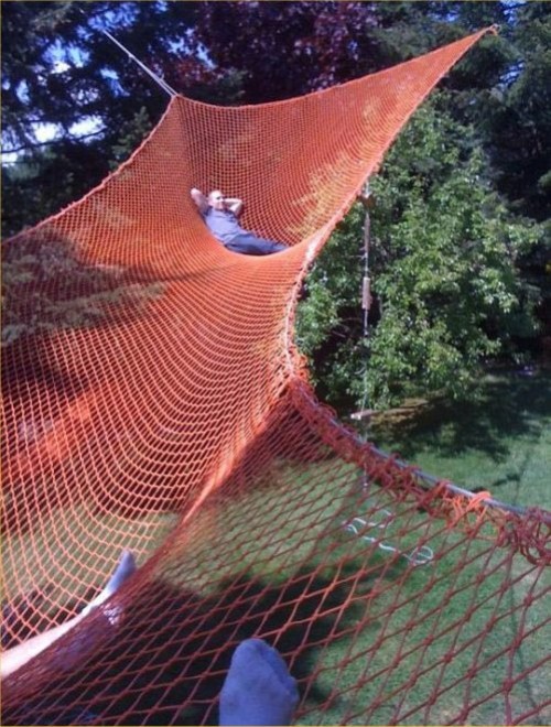 hornoxe.com_picdump297_046