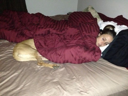 hornoxe.com_picdump297_068