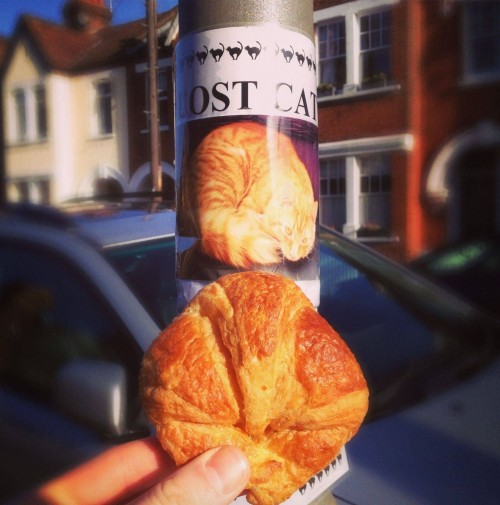 hornoxe.com_picdump297_073