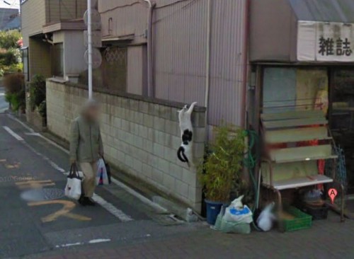 hornoxe.com_picdump297_078