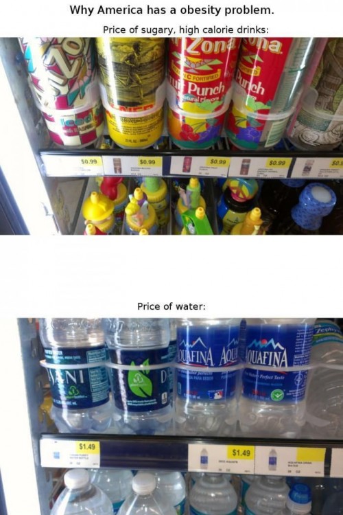 hornoxe.com_picdump297_134