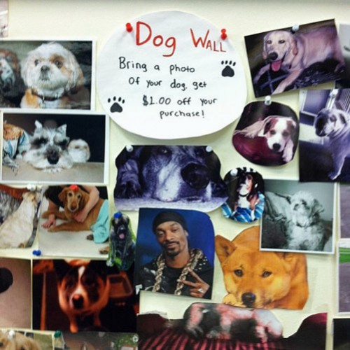 hornoxe.com_picdump297_160