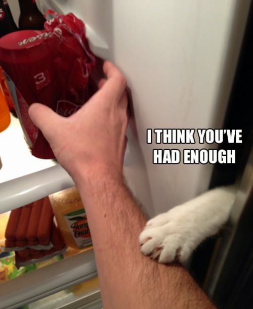 hornoxe.com_picdump297_161