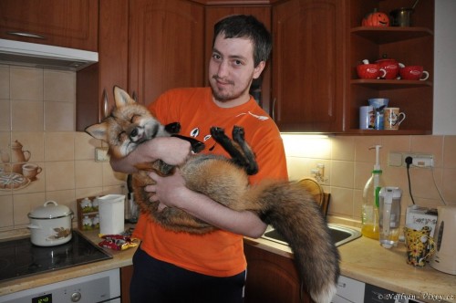 hornoxe.com_picdump297_163