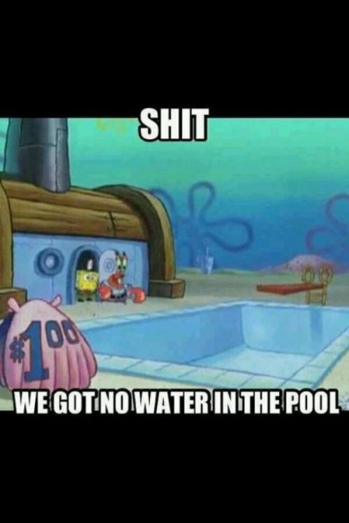 hornoxe.com_picdump297_167