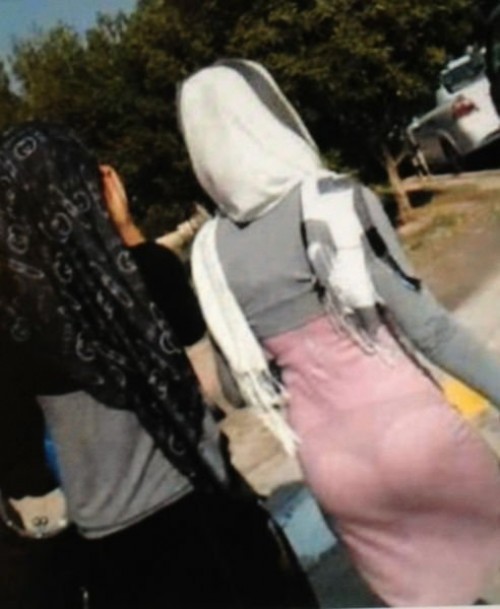 hornoxe.com_picdump297_168