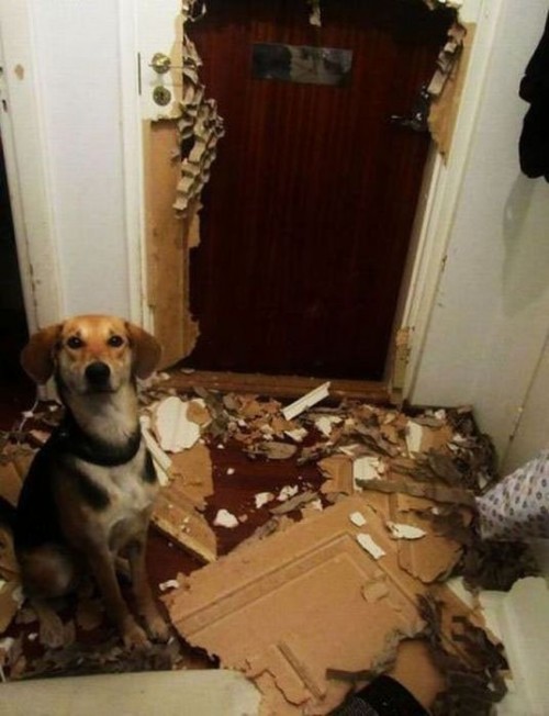 hornoxe.com_picdump297_169