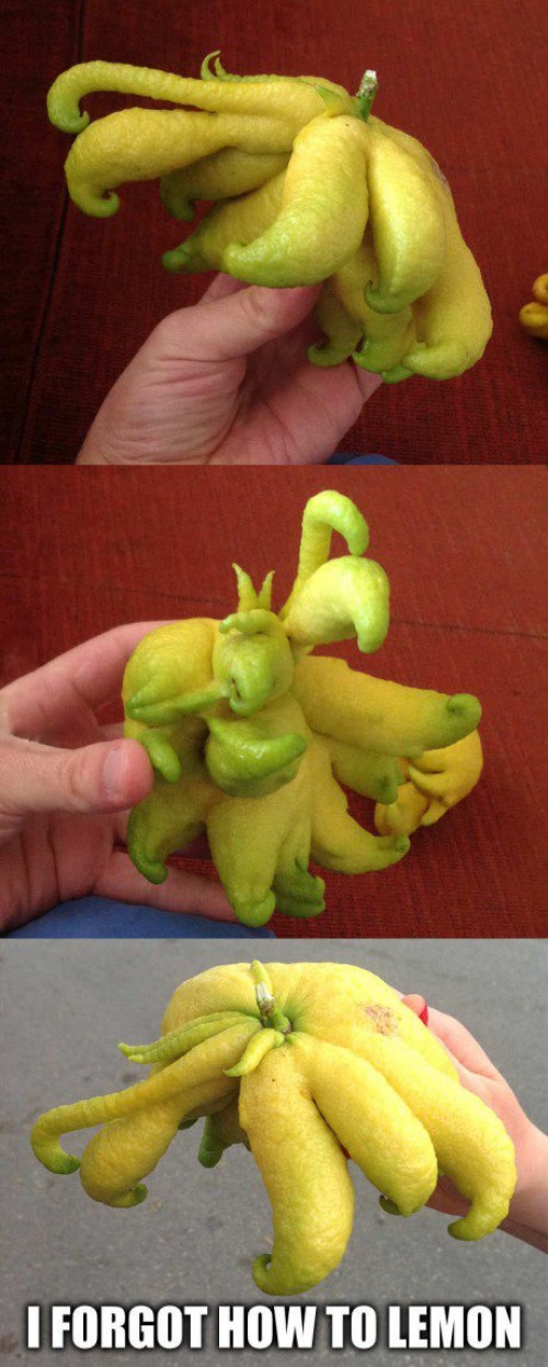 hornoxe.com_picdump297_180