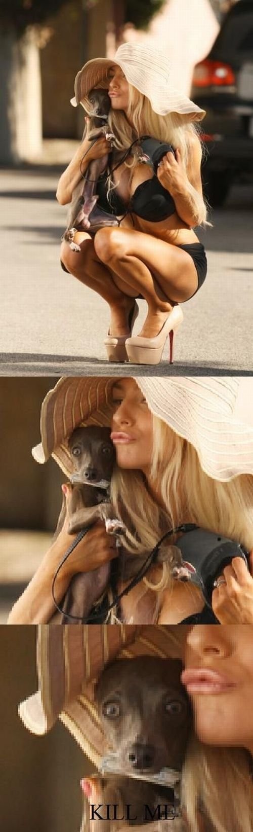 hornoxe.com_picdump297_184