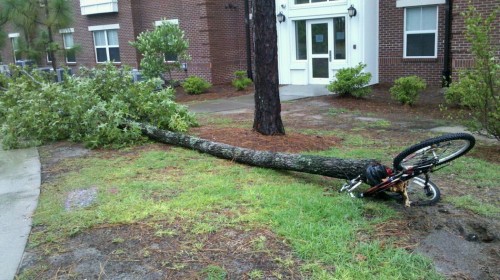 hornoxe.com_picdump298_077