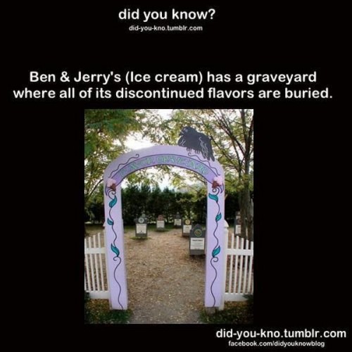 hornoxe.com_picdump298_103