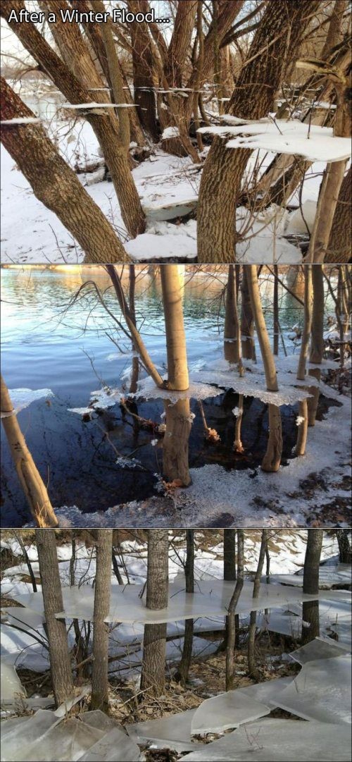 hornoxe.com_picdump298_105