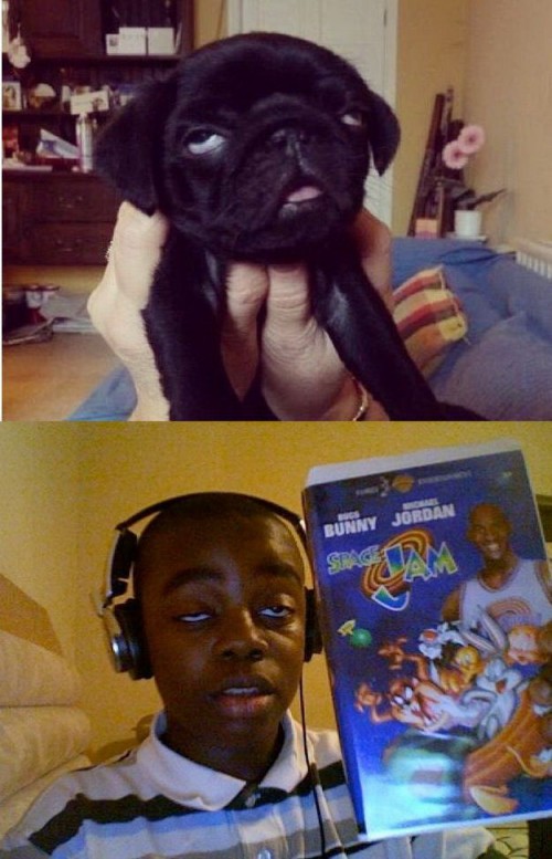 hornoxe.com_picdump298_155