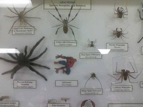 hornoxe.com_picdump298_160