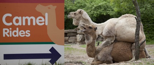 hornoxe.com_picdump298_169