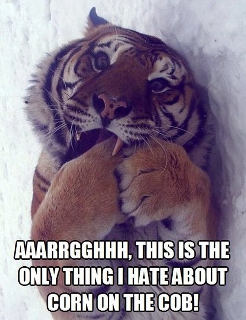 hornoxe.com_picdump298_184