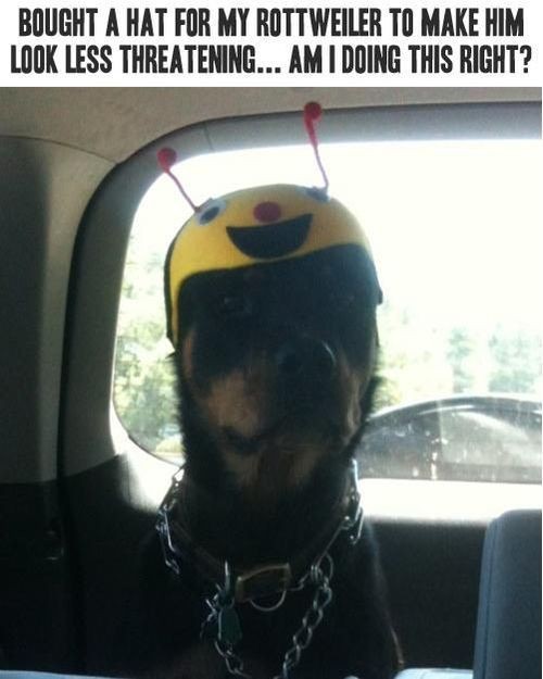 hornoxe.com_picdump298_186