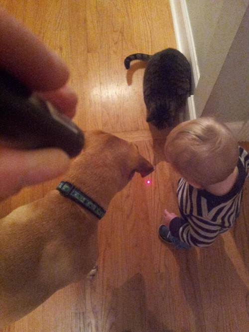 hornoxe.com_picdump298_189