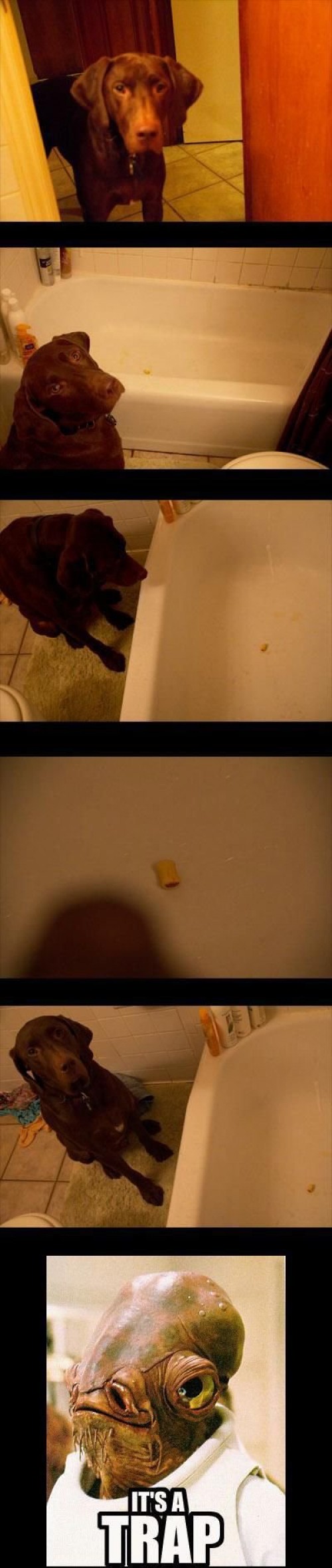 hornoxe.com_picdump298_202