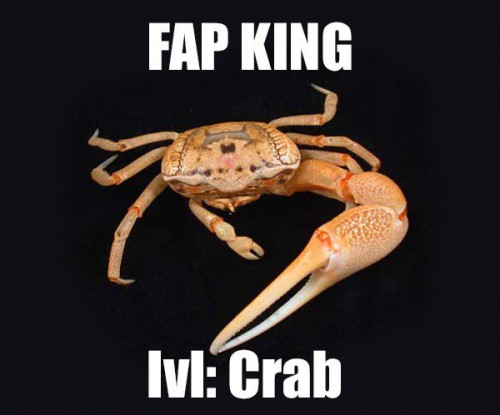 hornoxe.com_picdump298_205