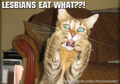 hornoxe.com_picdump299_020